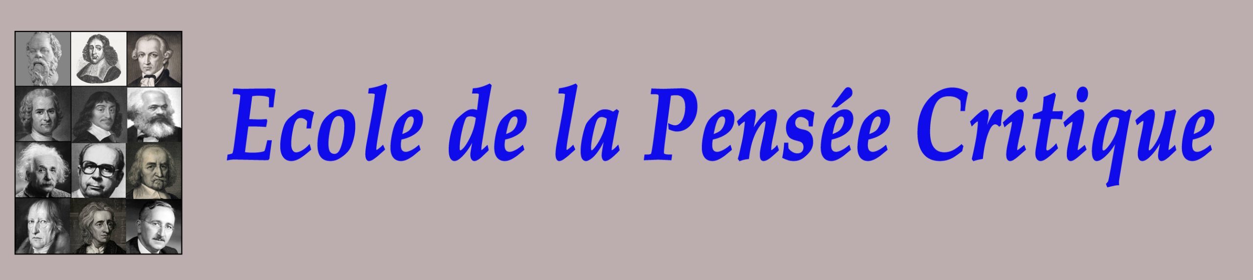 Ecole de la pensée critique